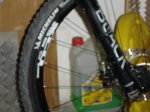 team freebike 034.jpg