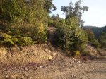 DSC05147.jpg
