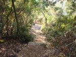 DSC05166.jpg