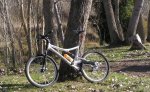 Moly 1 (2).JPG
