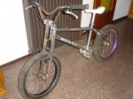 DSC01616.JPG