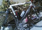 pinarello.jpg