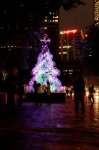 christmas_tree_24[1].jpg