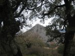 IMG_0013.JPG