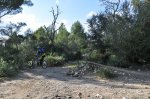 DH Cura 22-01-2011 145.JPG