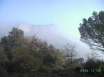 PICT0908 (Medium).JPG