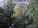 PICT0926 (Medium).JPG
