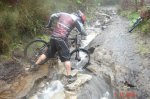 DSC01233web.jpg
