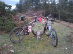 2011-02-13 11.27.52.jpg