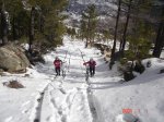 Penca alta 2011 012.JPG
