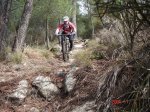 Penca alta 2011 026.JPG