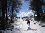 Penca alta 2011 008.JPG