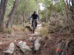 Penca alta 2011 023.JPG