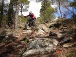 Penca alta 2011 020.JPG