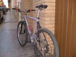 proflex4.jpg