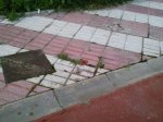 Foto0406.jpg