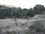DSCF8245 (Copiar).JPG