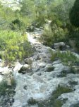 Imagen0121 (Pequeña).jpg