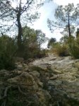 Imagen0128 (Pequeña).jpg