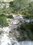 Imagen0126 (Pequeña).jpg
