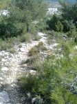 Imagen0120 (Pequeña).jpg