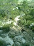 Imagen0125 (Pequeña).jpg