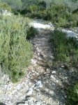Imagen0122 (Pequeña).jpg