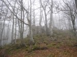 RUTA BRAÑAGALLONES (69).jpg