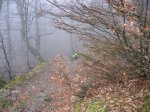 RUTA BRAÑAGALLONES (70).jpg