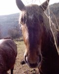 DSC00063.jpg