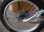 DSC06767.jpg