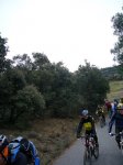 P0000078_redimensionar.JPG
