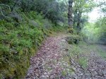 21042011094.jpg