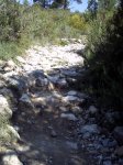 PICT0013.JPG