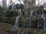 img11.jpg