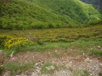 DSC01105.JPG