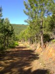 08052011103.jpg