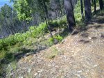 08052011107.jpg