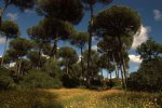 doñana3.jpg