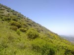 140520111675.jpg