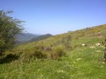 140520111662.jpg