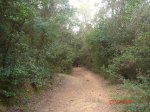 ruta montnegre 1 018.JPG