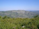 CIMG1074.JPG