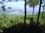 IMG_0011.JPG