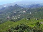 IMG_0021.JPG