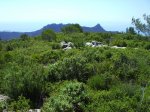IMG_0033.JPG