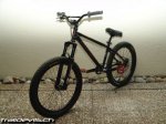 bikepic_1145_1.jpg