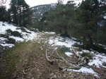 P0000013_redimensionar.JPG