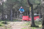 IMG_1104_redimensionar.JPG