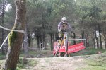IMG_1039_redimensionar.JPG